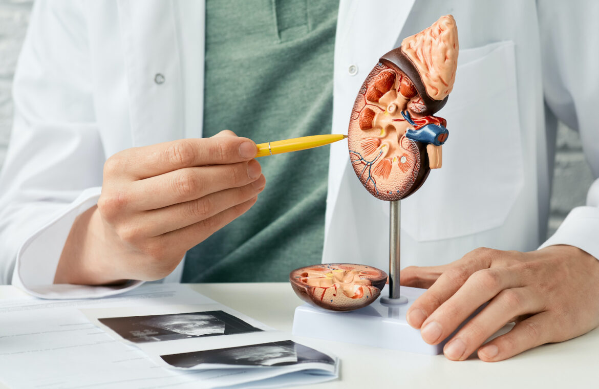 Improve Your Kidney Function